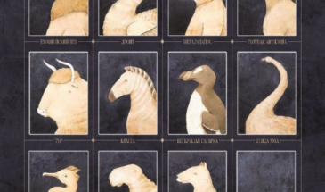 Эта книга пугает до дрожи: 1800 видов, которых мы больше никогда не увидим, и почему их список растёт каждый год