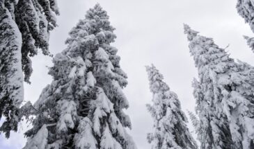 Эти 7 запретов на Сретение 15 февраля могут испортить вам весь год: что нельзя делать ни в коем случае