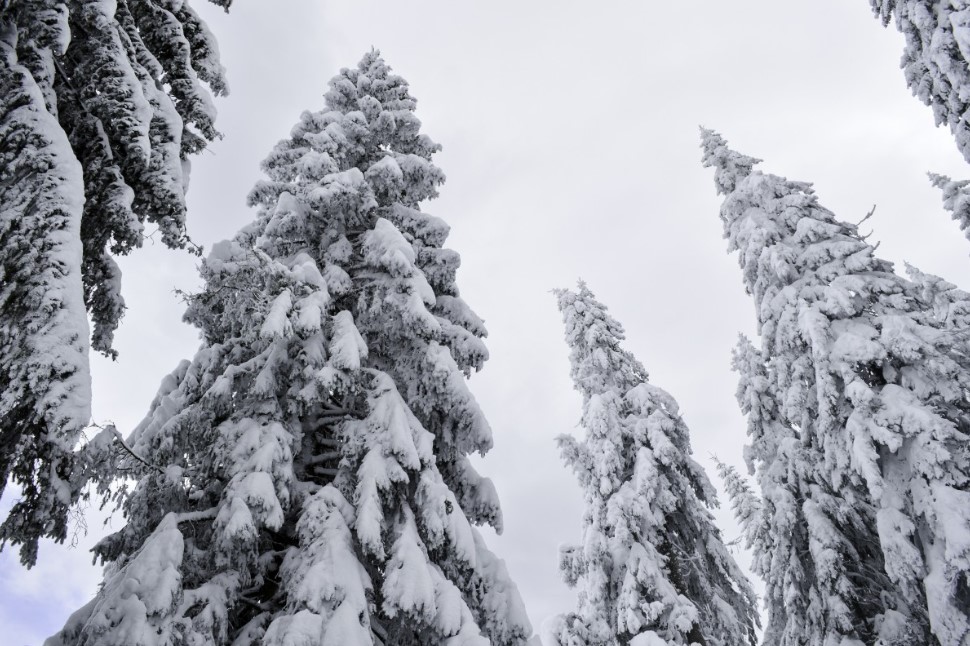 Эти 7 запретов на Сретение 15 февраля могут испортить вам весь год: что нельзя делать ни в коем случае