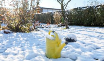 Что происходит с грядками, если посыпать их удобрениями прямо по снегу в феврале