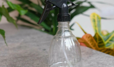 Один простой трюк с поддоном спасёт их лучше любого пульверизатора