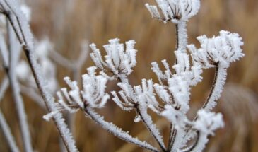 На Починки, 16 февраля, черное запрещено: одна ошибка в одежде может испортить весь год — приметы дня