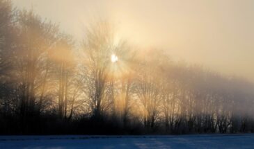 16 февраля: день памяти Симеона Богоприимца и пророчицы Анны — традиции и духовный смысл