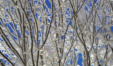 Никола Студеный: приметы 17 февраля, которые нельзя игнорировать — погода подскажет, каким будет урожай