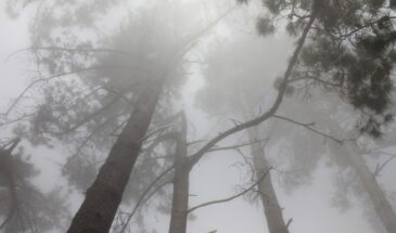 Почему 20 февраля нельзя надевать зелёную одежду: одна ошибка в день Луки может лишить денег и удачи — народные приметы