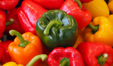 Забытый метод теплового капкана: старый капрон превращает перец в конвейер плодов — урожай в 3,5 раза больше без затрат