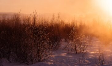 День Захария: что нужно сделать 21 февраля, чтобы урожай был щедрым, а зима скорее ушла