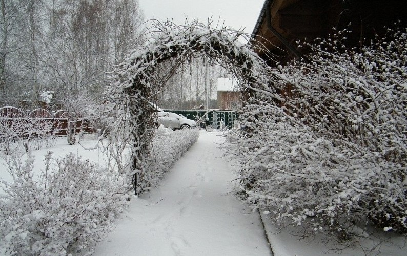 Оттепель днём, мороз ночью — и сад под ледяным панцирем: три простых способа спасти растения, пока корни не задохнулись