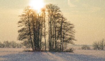 21 февраля 2026: что категорически нельзя делать в день великомученика Феодора — приметы, которые спасут от беды