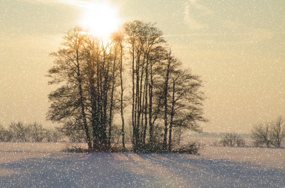 21 февраля 2026: что категорически нельзя делать в день великомученика Феодора — приметы, которые спасут от беды