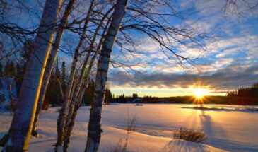 Почему 23 февраля нельзя есть рыбу, но нужно шуршать деньгами: старинные приметы на Прохора Весновея, которые работают до сих пор