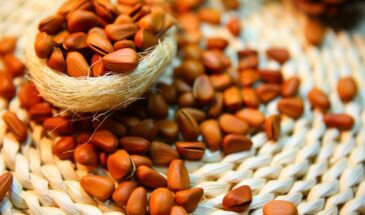 «Горечь во рту на месяц»: врач предупредила об опасности кедровых орехов