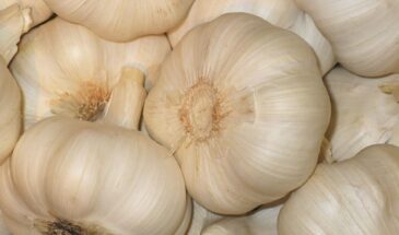 Чеснок не высохнет до весны: простой способ хранения, о котором молчат хозяйки