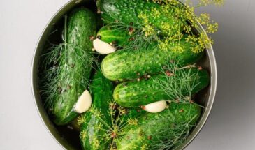 Малосольные огурцы за сутки: один секрет — гости просят добавку