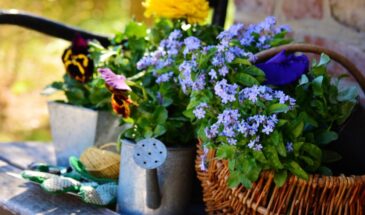 Что подарить дачнице на 8 марта: 20 подарков, за которые она вам будет благодарна весь сезон