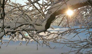 4 февраля — Тимофей Полузимник: почему сегодня нельзя давать деньги в долг и что будет, если нарушить