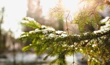 Макарий «накажет» за три проступка 1 февраля: что нельзя делать в этот день, даже если не верите в приметы