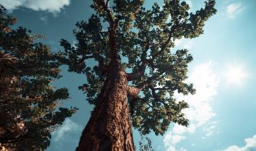 Весна 2026: кому повезёт по «гороскопу друидов» — даже скептики удивятся