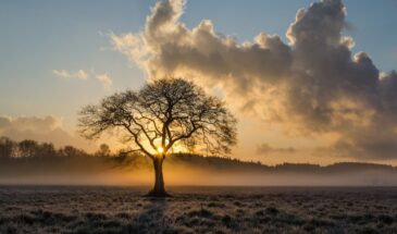 Везение обходит вас стороной? Эти 3 привычки убивают удачу ещё до того, как она постучится в дверь