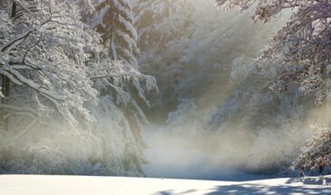 11 февраля — женский день силы: почему хозяйкам велели печь капустный пирог и не браться за тяжёлую работу