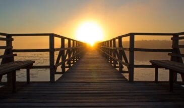 Птица Счастья опустится на плечо: астролог назвал знак, у которого со 2 февраля откроется новая глава