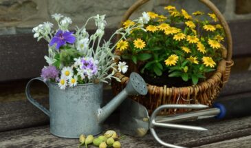 Садовый журнал за 20 минут: как записать февральские решения, которые удвоят урожай к августу