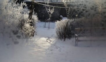 24 февраля: почему категорически нельзя выносить мусор до заката — одна ошибка может лишить вас денег и удачи на весь год