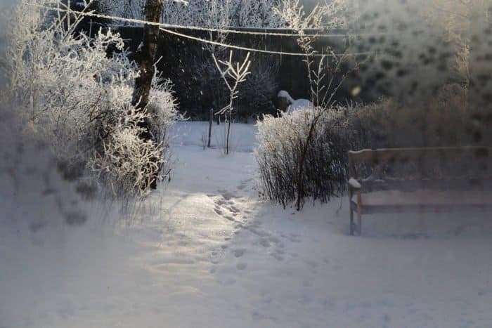 24 февраля: почему категорически нельзя выносить мусор до заката — одна ошибка может лишить вас денег и удачи на весь год