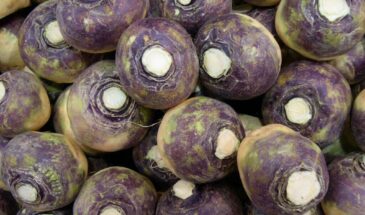 Вы выбрасываете главные природные лекарства: 5 корнеплодов, которые лечат диабет, укрепляют иммунитет и помогают худеть