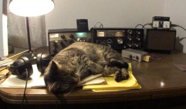 НАМ ПИШУТ: Интернет радиоволны не заменит. Только Россия отказалась от УКВ, а «партнеры» продолжают вещание на волнах