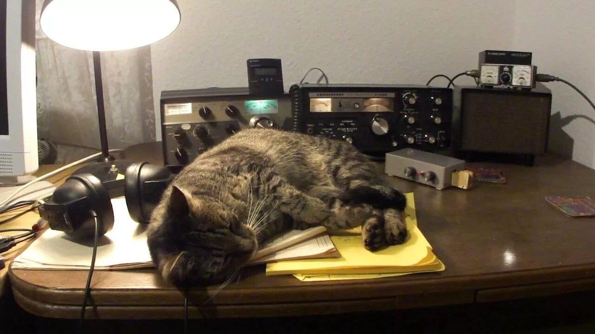 НАМ ПИШУТ: Интернет радиоволны не заменит. Только Россия отказалась от УКВ, а «партнеры» продолжают вещание на волнах