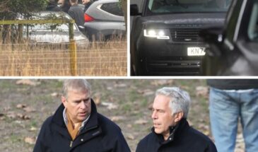 В Британии задержан Эндрю Виндзор — душегуб, развратник и брат местного королька