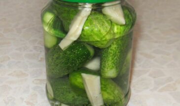 Огурцы холодным способом: секрет хрустящих малосольных, которые получаются с первого раза — без уксуса и кипячения