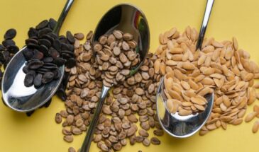 Как проверить семена на всхожесть в феврале: не сейте вслепую — положите на влажную салфетку с мёдом, результат через 48 часов