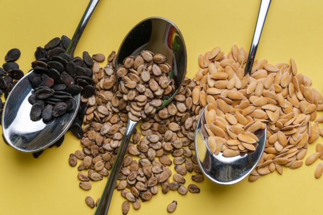 Как проверить семена на всхожесть в феврале: не сейте вслепую — положите на влажную салфетку с мёдом, результат через 48 часов