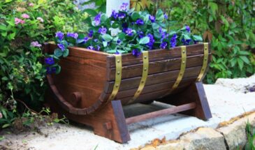 Молочная сыворотка на даче: одно средство, которое спасёт урожай от грибка и ускорит компост в два раза