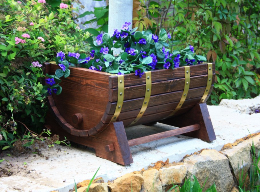 Молочная сыворотка на даче: одно средство, которое спасёт урожай от грибка и ускорит компост в два раза