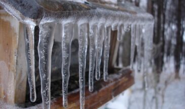 14 марта решит ваш урожай: что нельзя забывать в Евдокию Весновку, чтобы не остаться ни с чем