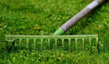 Газон своими руками: как сделать идеальный участок за 2,5 месяца — пошаговая инструкция для новичков