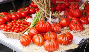 Биф-томаты: один помидор на всю семью — почему все дачники сходят с ума по этим гигантам