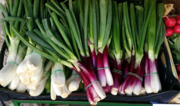 Лук в марте: астрологи назвали даты для посадки, которые гарантируют богатый урожай