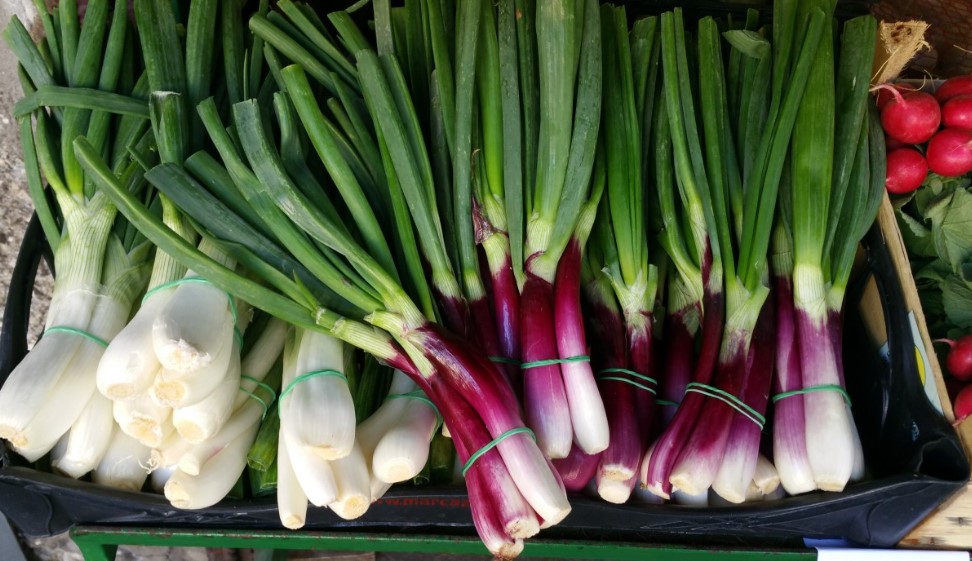 Лук в марте: астрологи назвали даты для посадки, которые гарантируют богатый урожай