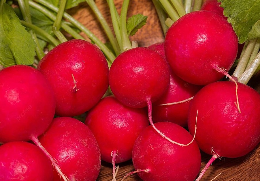 Редис на подоконнике за 3 недели: секрет, который гарантирует урожай с первого раза