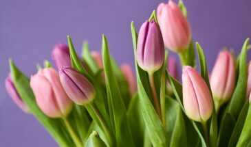 Как не выбросить деньги на ветер: секреты Роскачества, которые помогут выбрать идеальные цветы к 8 Марта