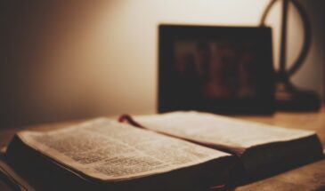 Древние слова, которые понимает каждый: пять терминов, не требующих перевода