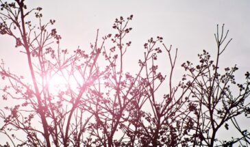 3 марта: что можно и нельзя делать в день святителя Льва и Овсянки
