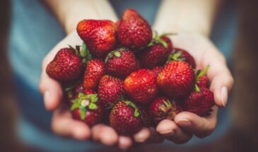 Март для клубники: 5 шагов к крупному урожаю в июне