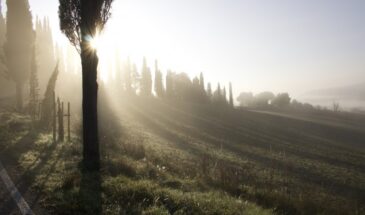 Гороскоп друидов: четыре знака получат удачу и деньги с 1 марта