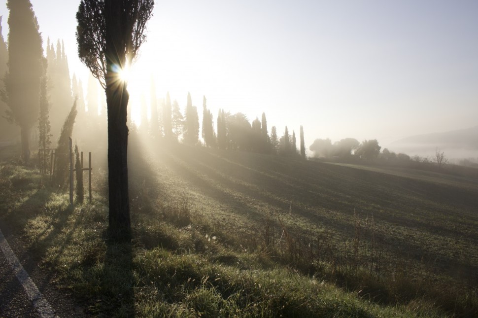 Гороскоп друидов: четыре знака получат удачу и деньги с 1 марта