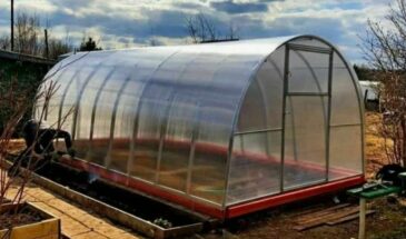 Мартовский ритуал для теплицы: сделайте это сейчас — и каркас не рухнет, и рассада не сгниёт